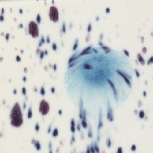 S 2701 عيون الطاووس قليز كريستالي (118ml)