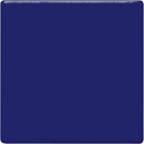 Midnight Blue Fries TP-21 16OZ