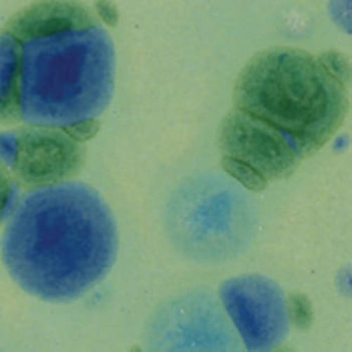 CTL-49 قليز كريستالي الأزوريت معدن أزرق (472ml)