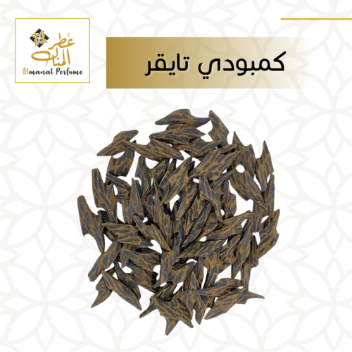 كمبودي تايقر