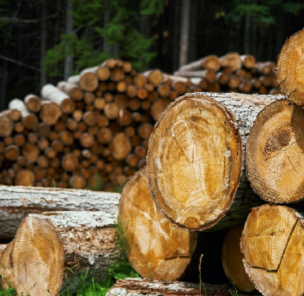 الاخشاب (Woods)