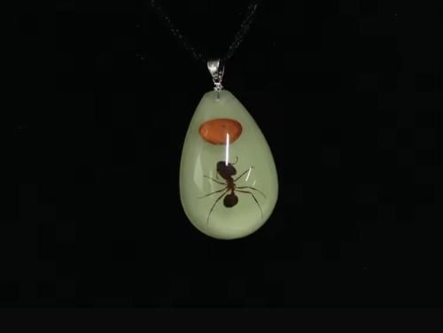 سلسال النملة المضيء