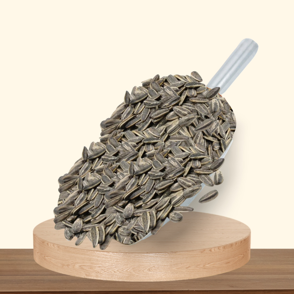 دوار الشمس محمص مملح 500 جرام