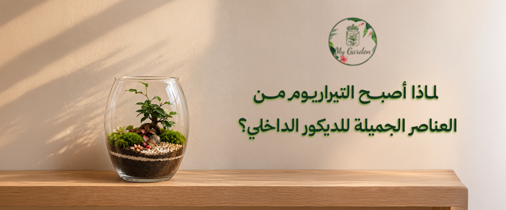 تيراريوم نبات طبيعي للديكور الداخلي