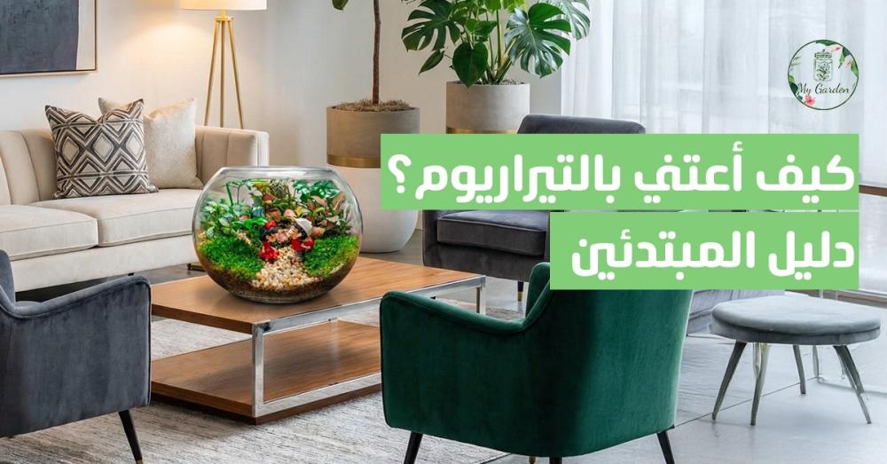 كيف أعتني بالتيراريوم؟ دليل المبتدئين