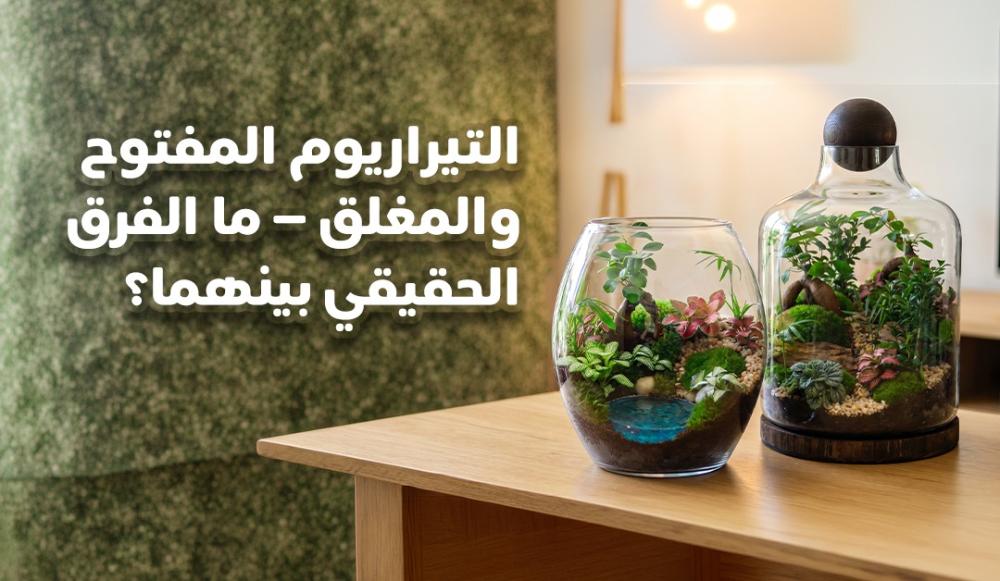 التيراريوم المفتوح والمغلق — ما الفرق الحقيقي بينهما؟