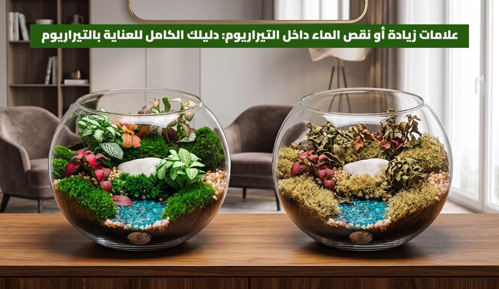 علامات زيادة أو نقص الماء داخل التيراريوم: دليلك الكامل للعناية بالتيراريوم