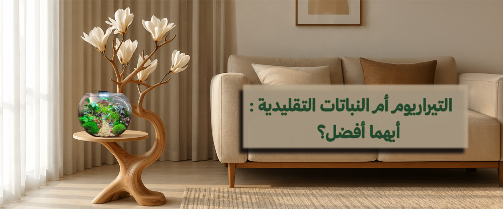 التيراريوم أم النباتات التقليدية ؟