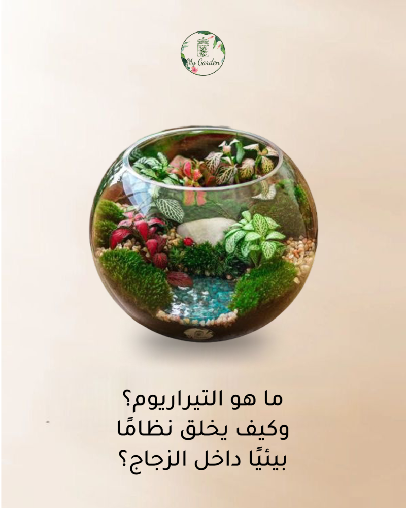 ما هو التيراريوم؟ وكيف يخلق نظامًا بيئيًا داخل الزجاج؟