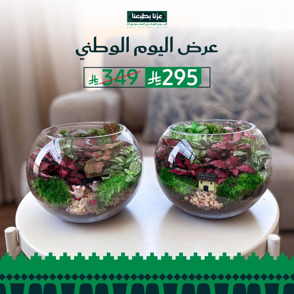 عرض اليوم الوطني
