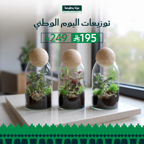 توزيعات اليوم الوطني