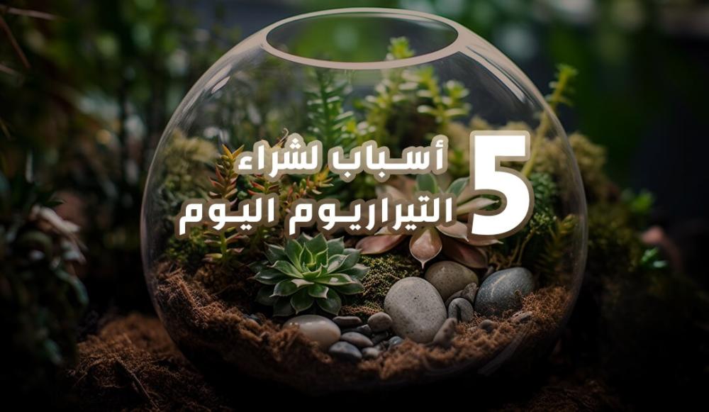 5 أسباب لشراء التيراريوم اليوم