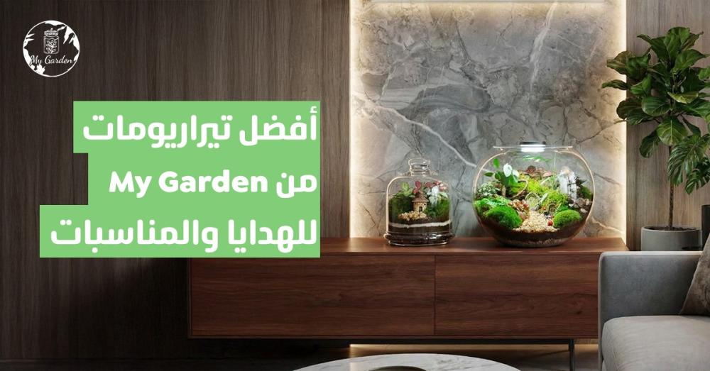 أفضل تيراريومات من My Garden للهدايا والمناسبات