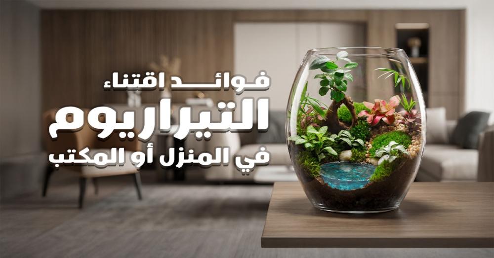 فوائد اقتناء التيراريوم في المنزل أو المكتب