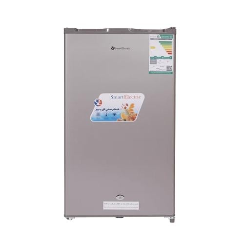 Smart Electric Refrigerator 90 Litres (3.18 Cu. Ft.) Silver