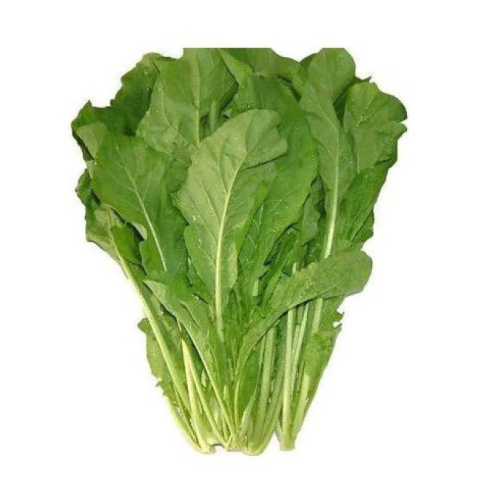 جرجير