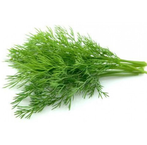 شبت