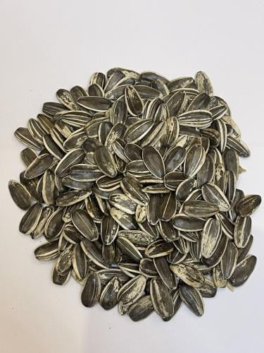 حب دوار الشمس