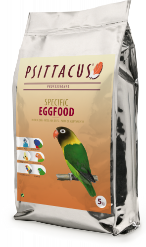 سيتاكوس بيض مجفف 5 كيلو - Eggfood