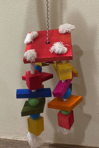 تعليقة للطيور الكبيرة