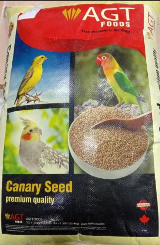 اكل كناري سادة