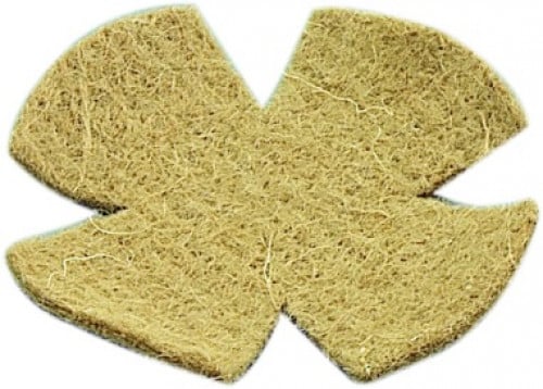 عش للطيور صغيرة