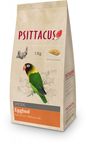 سيتاكوس بيض مجفف 1 كيلو - Eggfood
