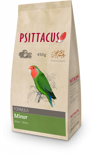 سيتاكوس مينور 450 غرام - PSITTACUS Minor