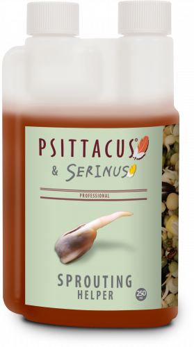 محلول مساعد استنبات البذور وتمديد صلاحية ماء الشرب من شركة سيتاكوس 250 مل - سيتاكوس