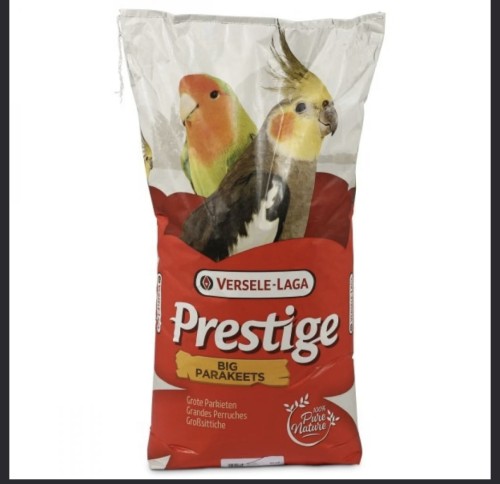 مشكل كروان و روز فرسلاقا