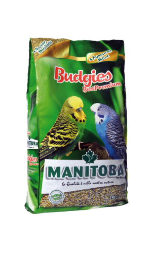 مشكل للبادجي 1 كيلو - مانيتوبا Manitoba