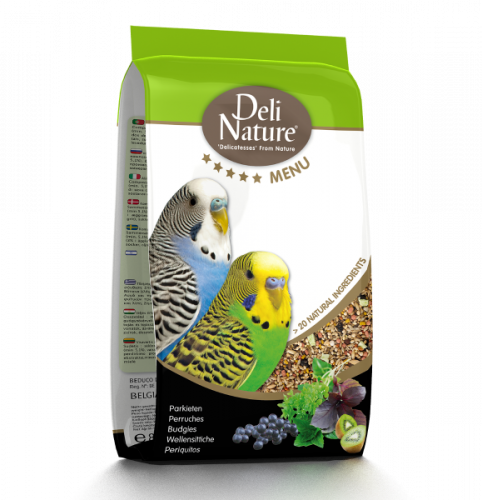 مشكل بادجيa