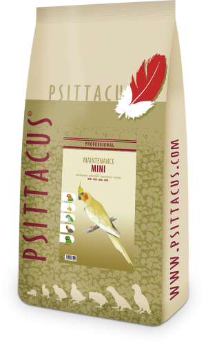 سيتاكوس ميني 12 كيلو  - PSITTACUS mini