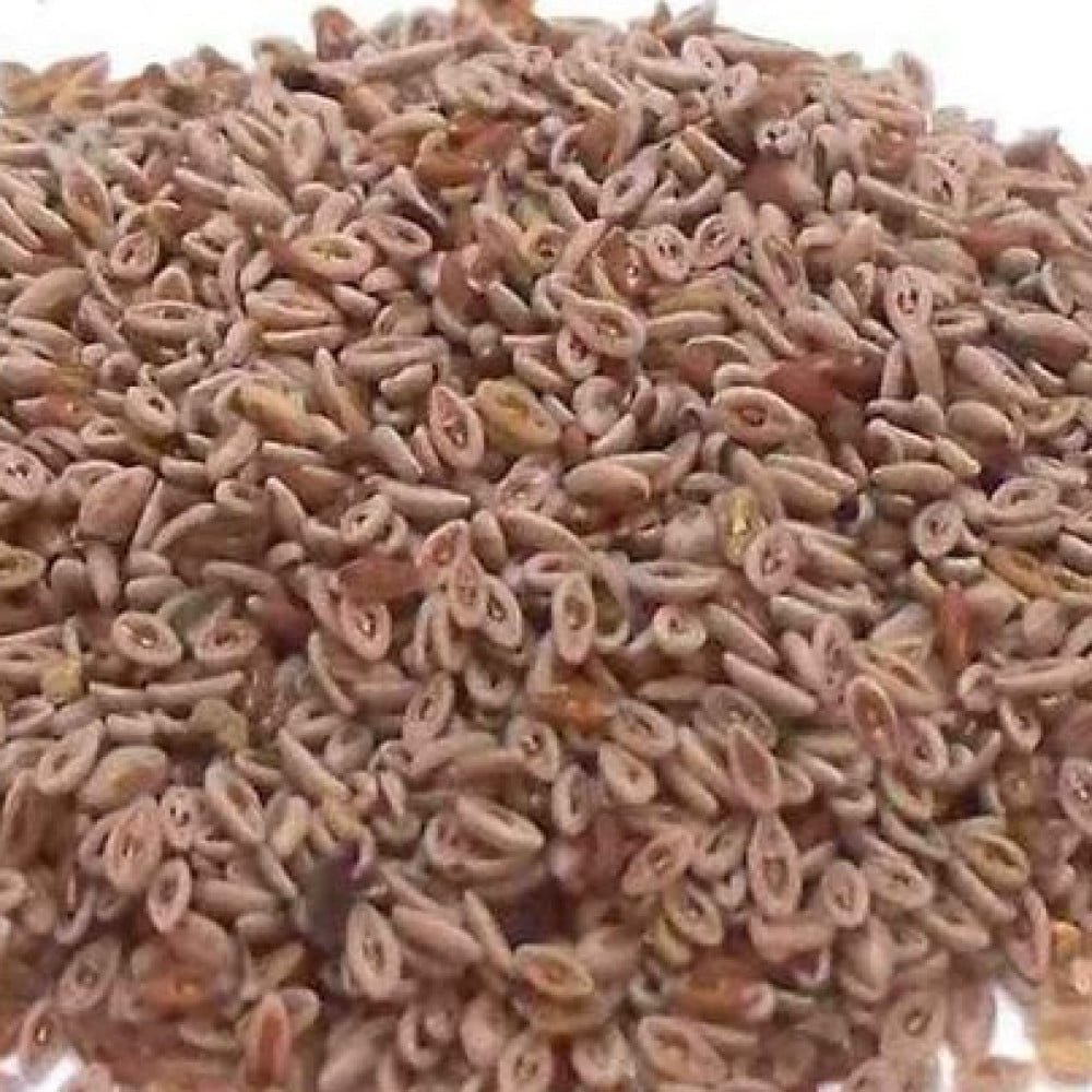 الاسبيغنول اسبيغنول( القاطونه) 200 جرام