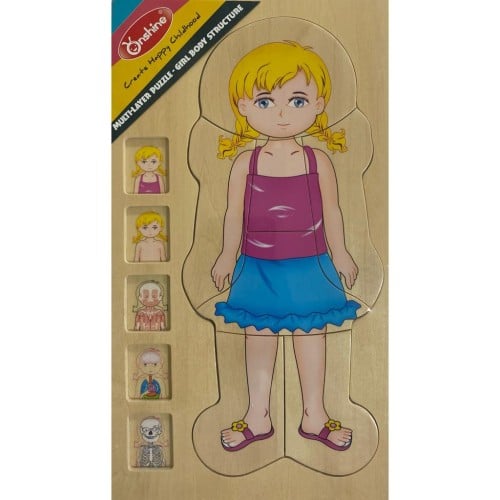 تركيبة اعضاء الجسم خشبية