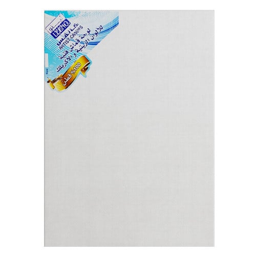 لوحة كانفس مستطيلة بعدة أحجام | LEENO