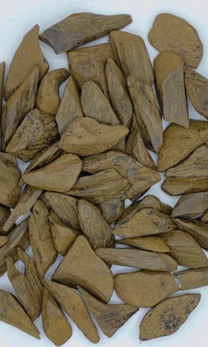 010 عود سومطري محسن