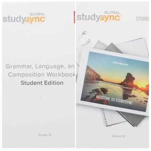 Global StudySync Bundle Gr 12  (Literature + Grammar)  (9781950533893-9781309124291)