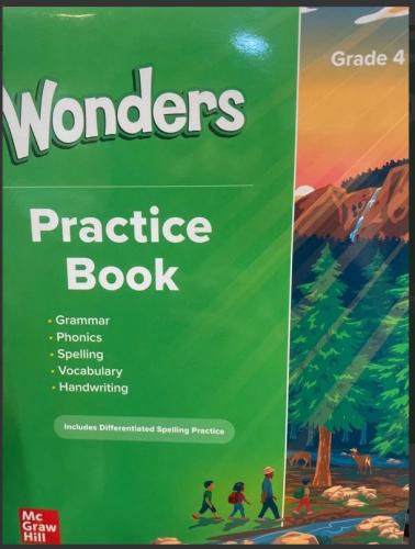 Reading Wonders Practice Book 2023 G04 (9781309132449)
