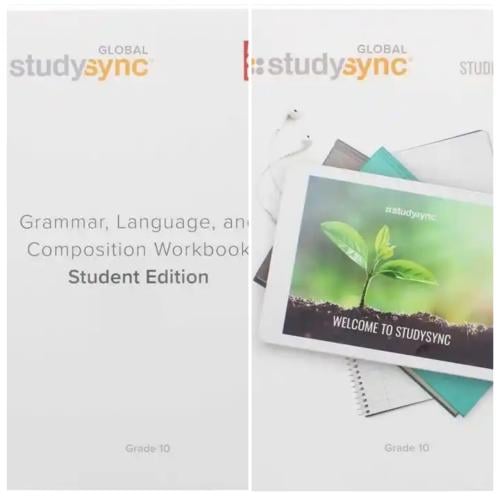 Global StudySync Bundle Gr 10  (Literature + Grammar)  (9781950533879-9781309124277)