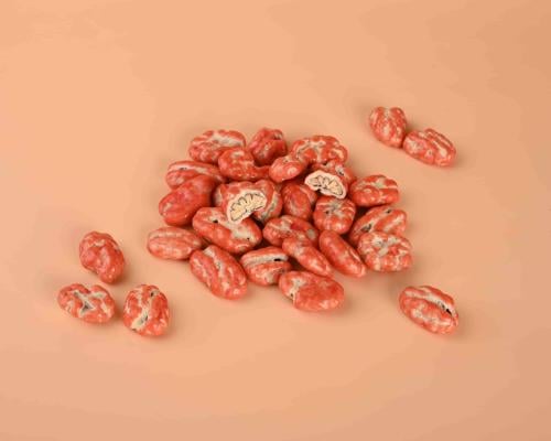 دراجيه من مكسرات فاخرة بالشوكلاتة البلحكيه