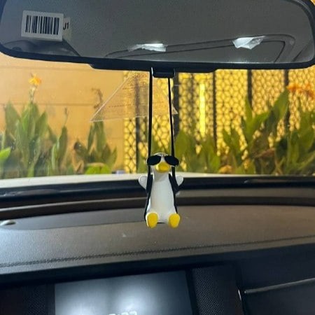 تعليقه البطه مع نظارة