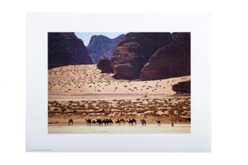 العلا - المملكة العربية السعودية - بوستر