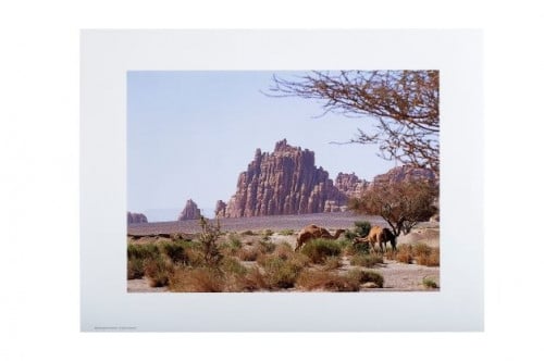 العلا - المملكة العربية السعودية - بوستر