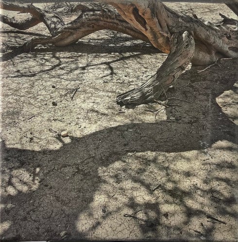 صور من السعودية