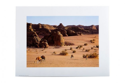 العلا - المملكة العربية السعودية - بوستر