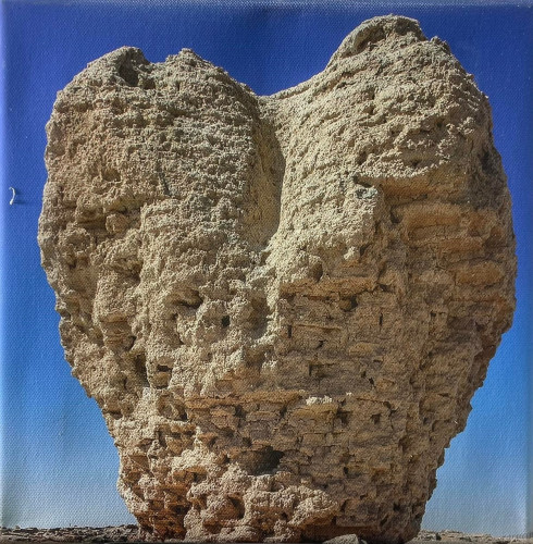 صور من السعودية