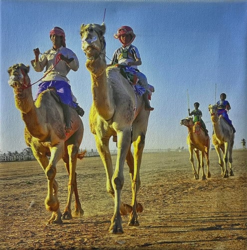 Photo from Saudi Arabia