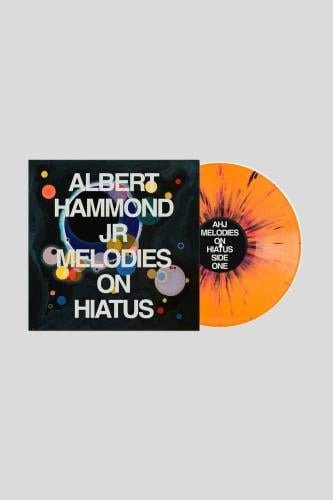 Albert Hammond Jr Melodies on Hiatus