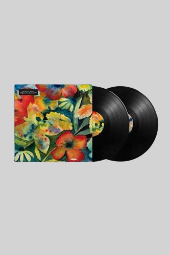 Adrianne Lenker Songs & Instrumentals LP